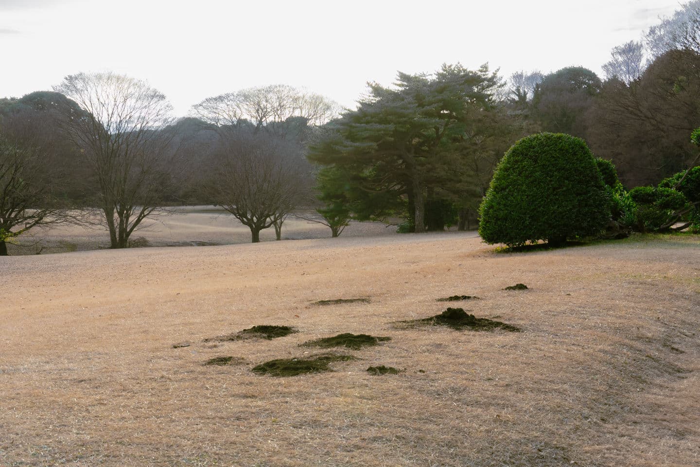 Japan — Image01-035