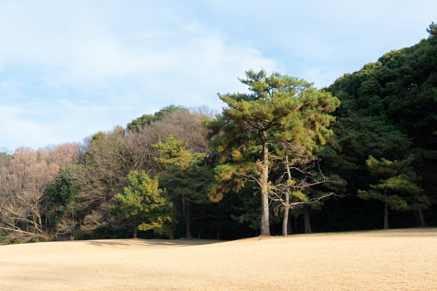 Japan — Image01-034