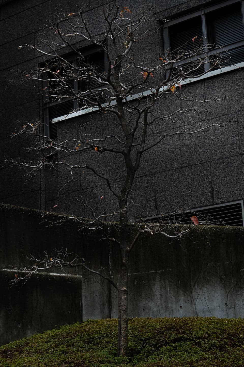 Japan — Image01-015