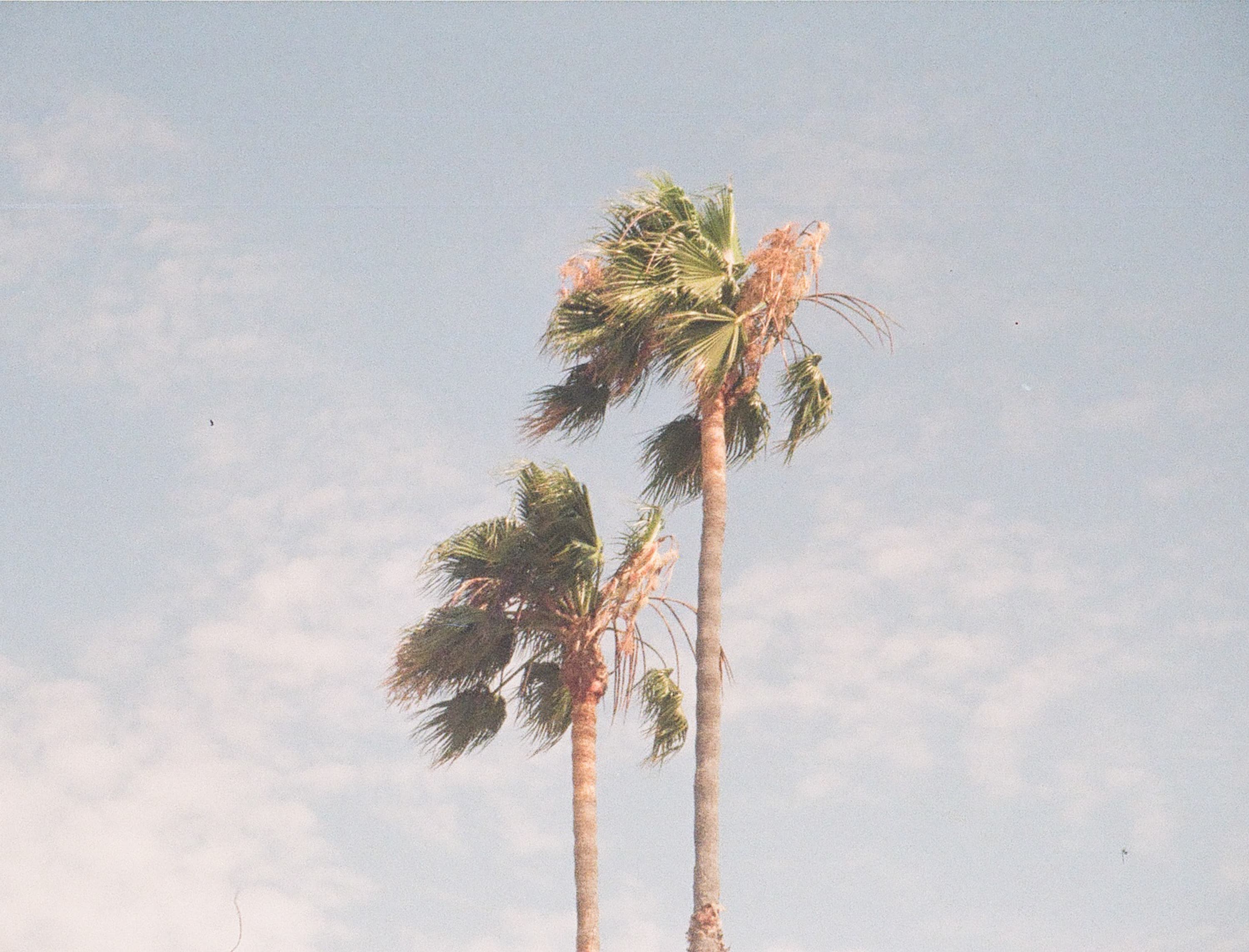 Landscape — 110 Landscape 013