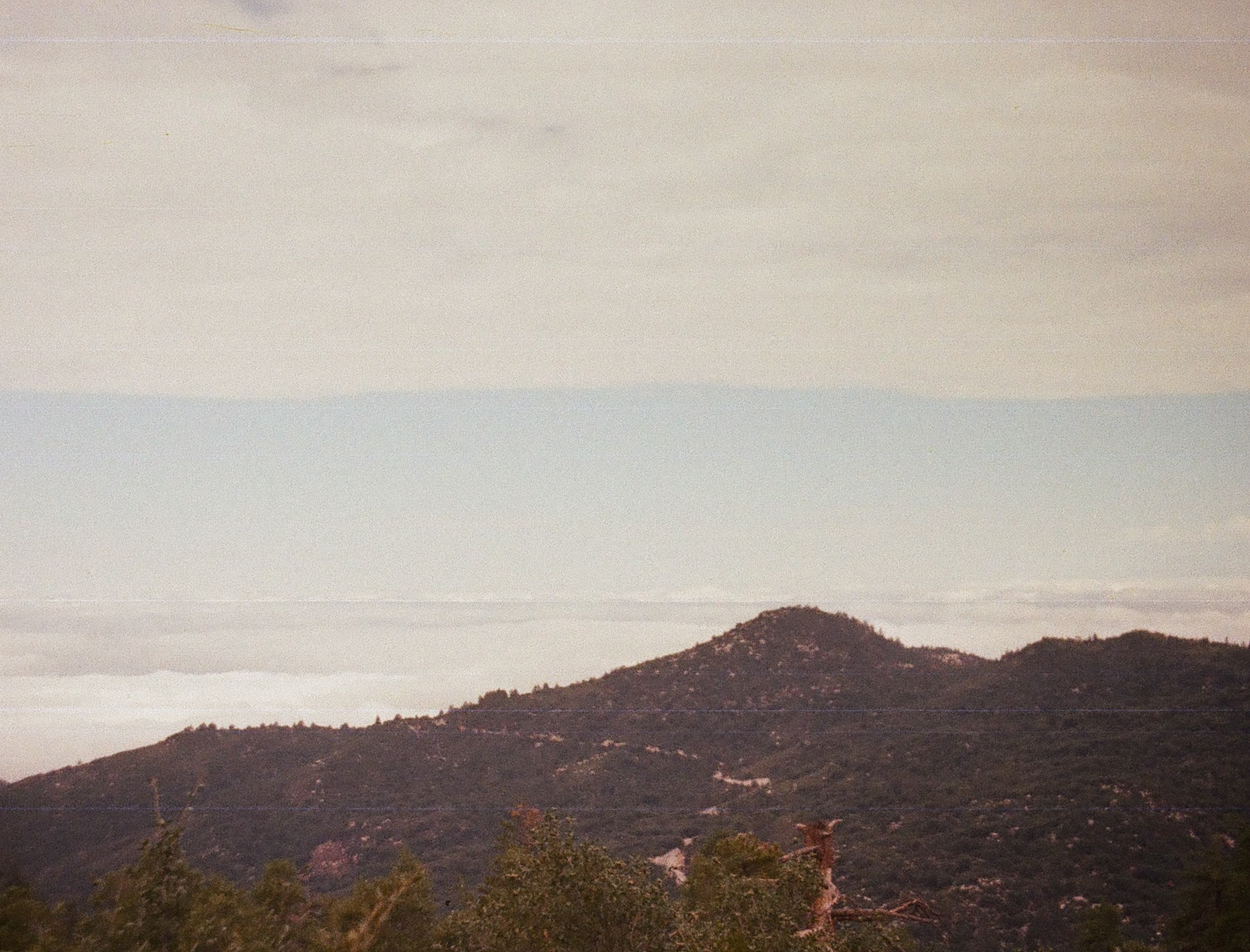 Landscape — 110 Landscape 019