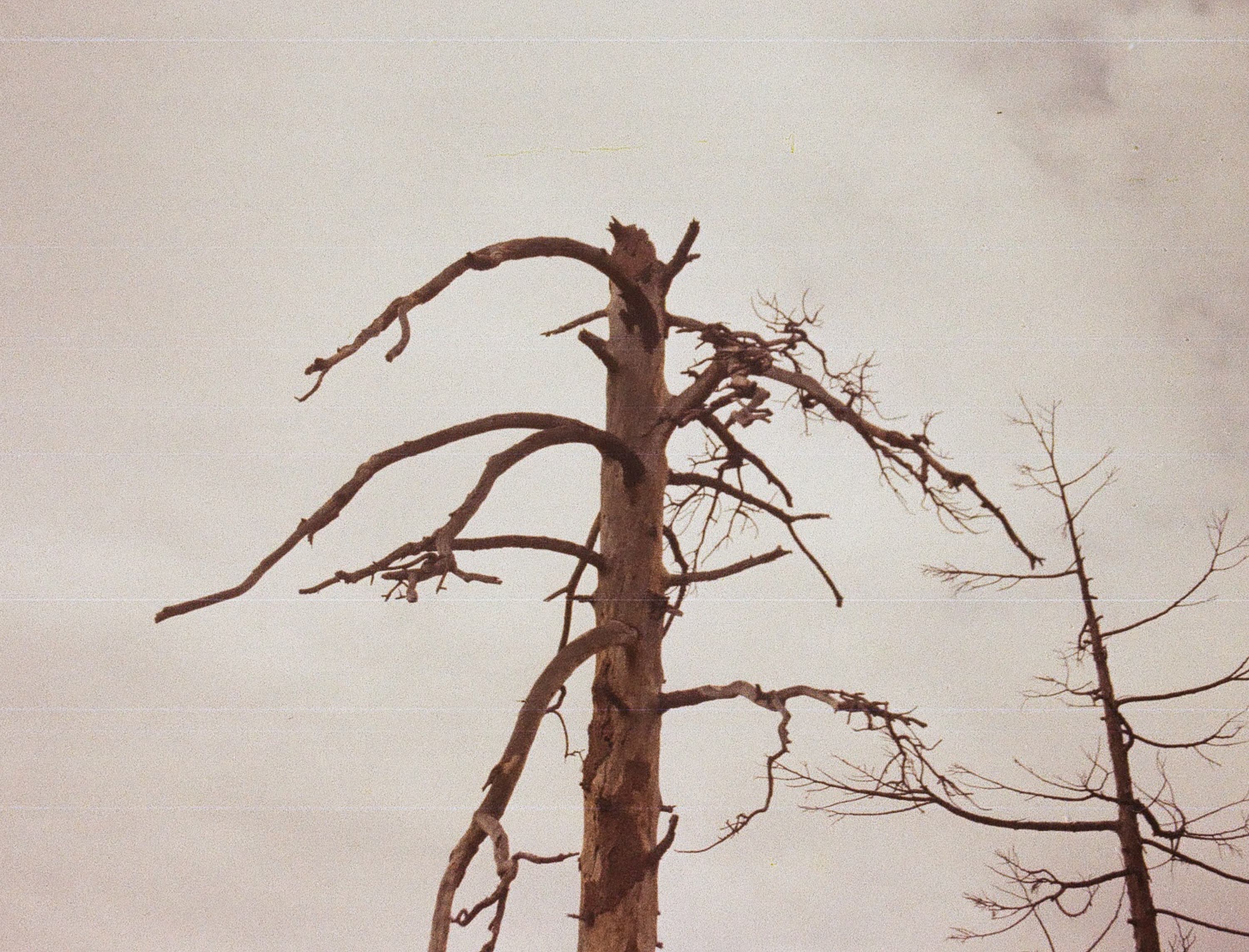 Landscape — 110 Landscape 021