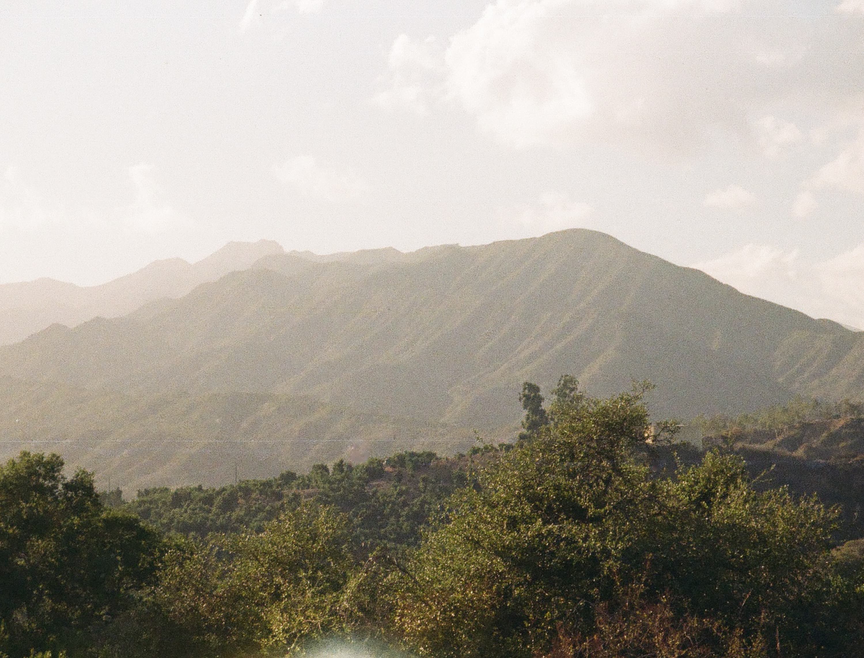 Landscape — 110 Landscape 025