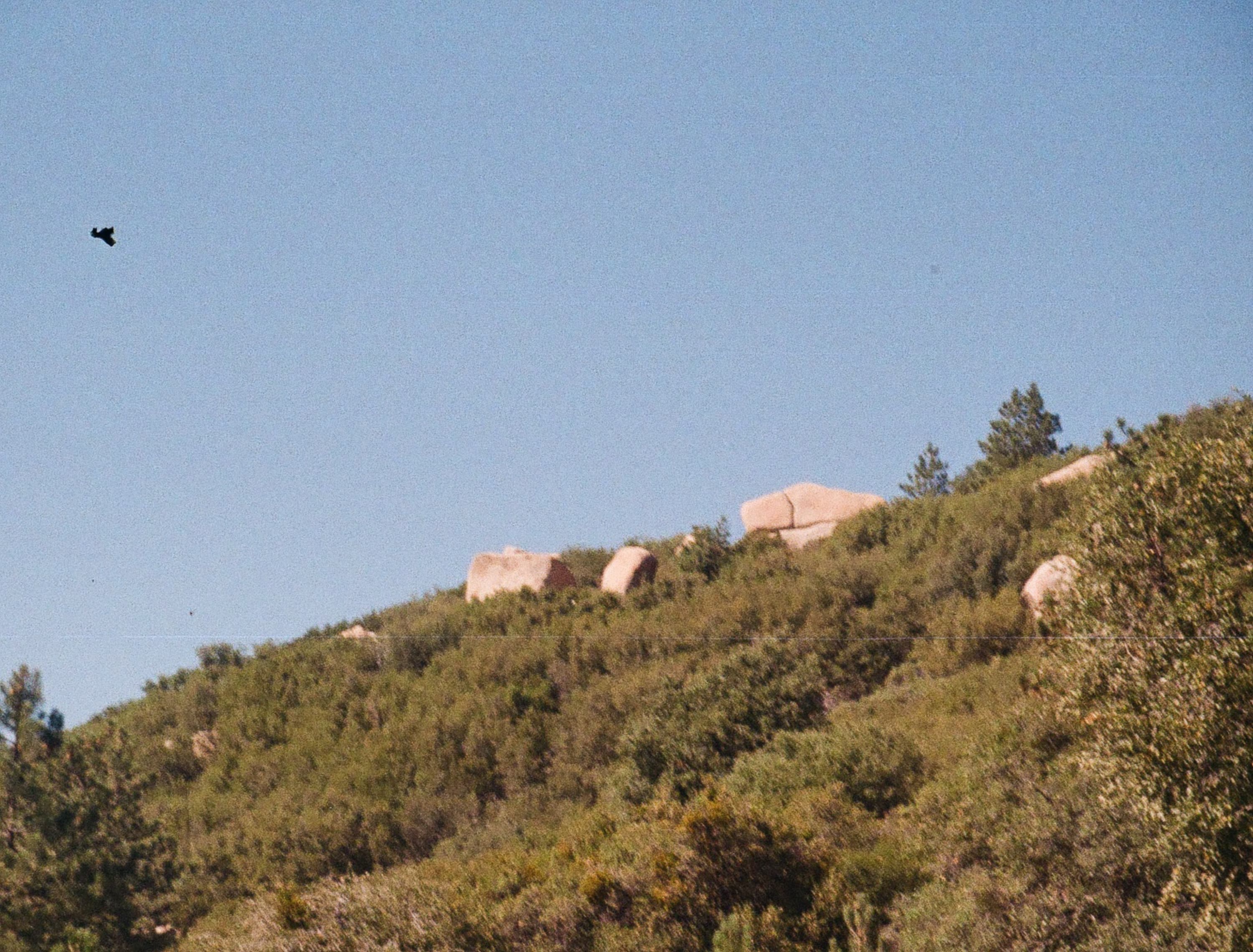 Landscape — 110 Landscape 026