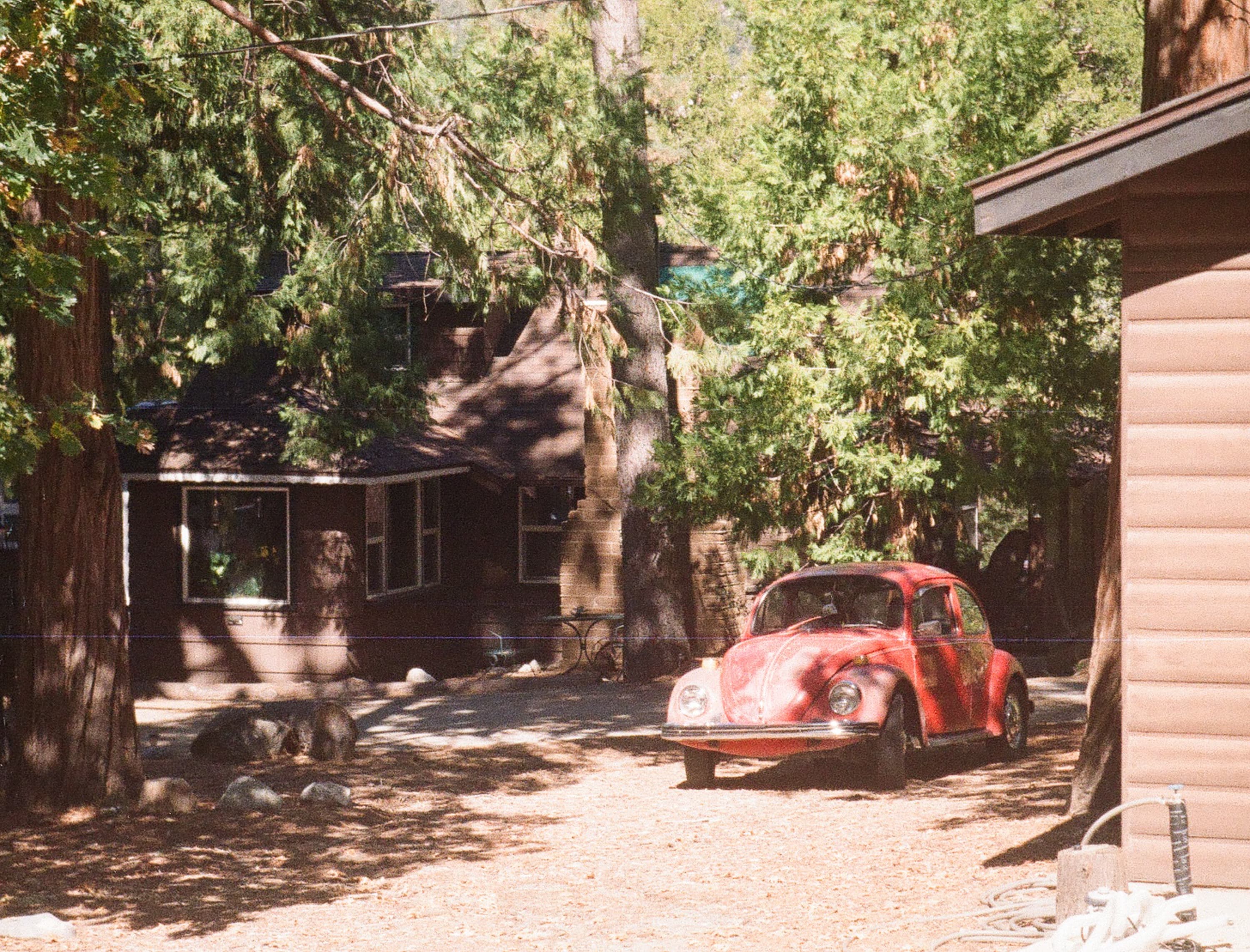 Landscape — Buggy