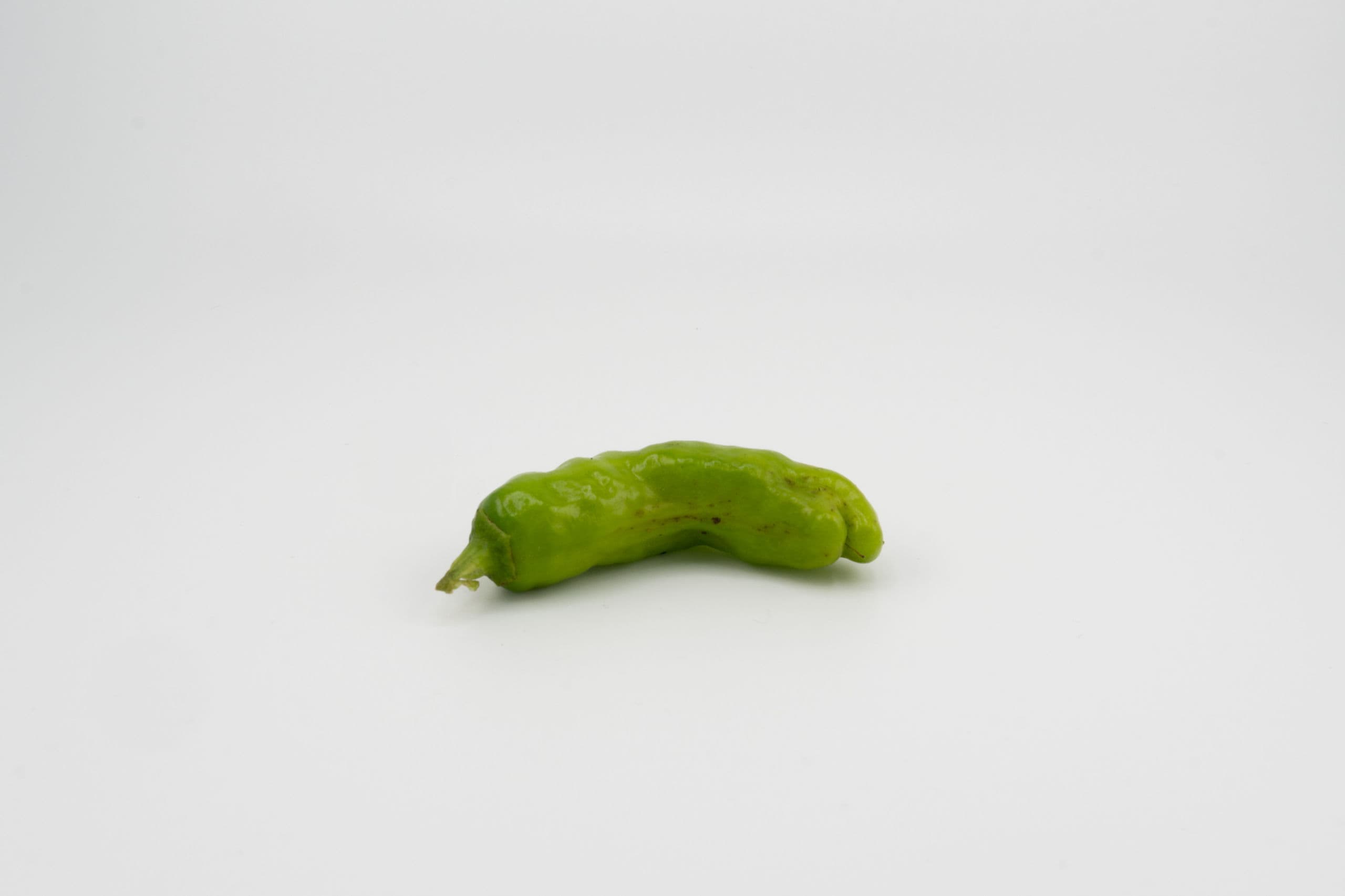 Shishito Peppers — ShishitoPeppers-001