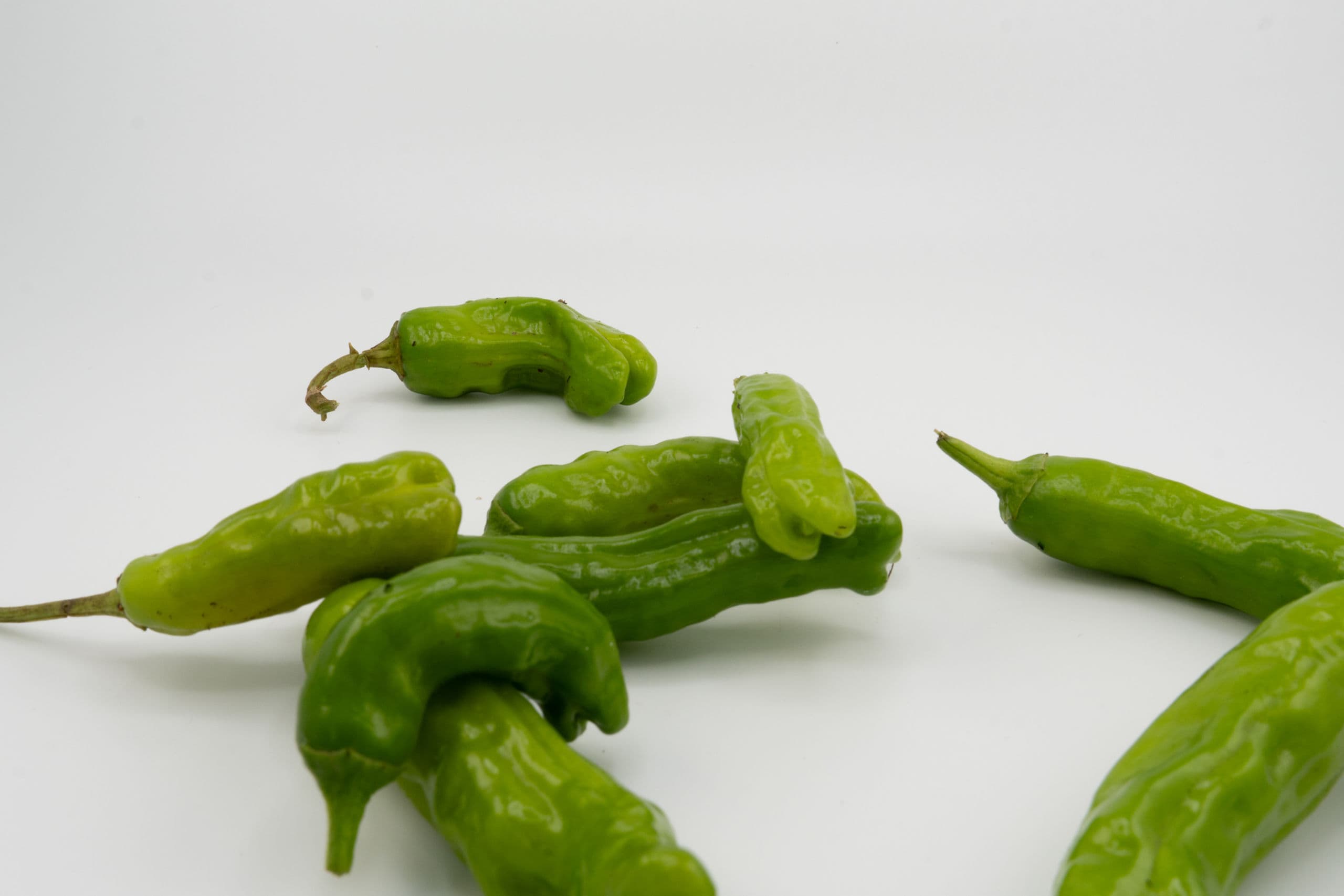 Shishito Peppers — ShishitoPeppers-002
