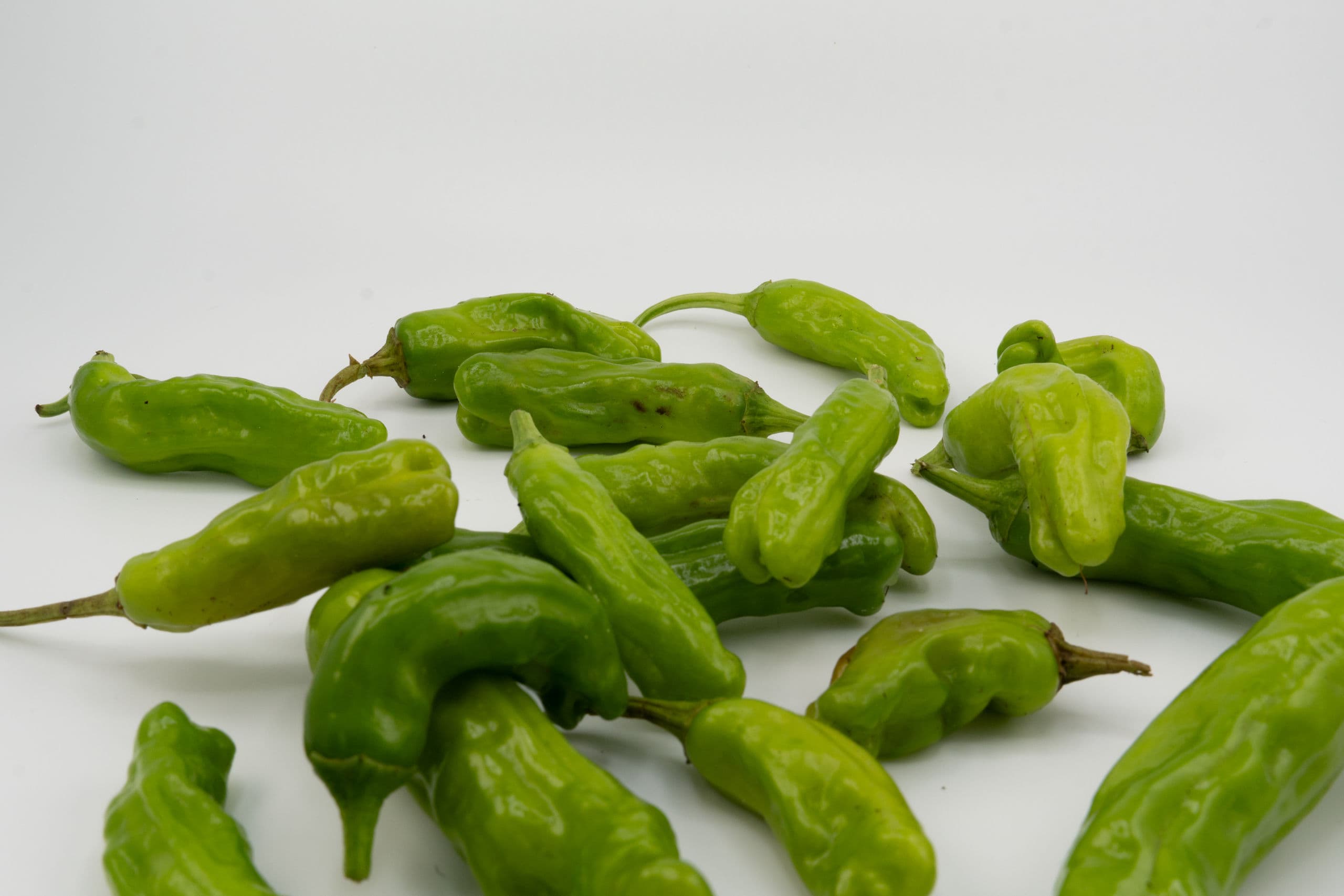 Shishito Peppers — ShishitoPeppers-003