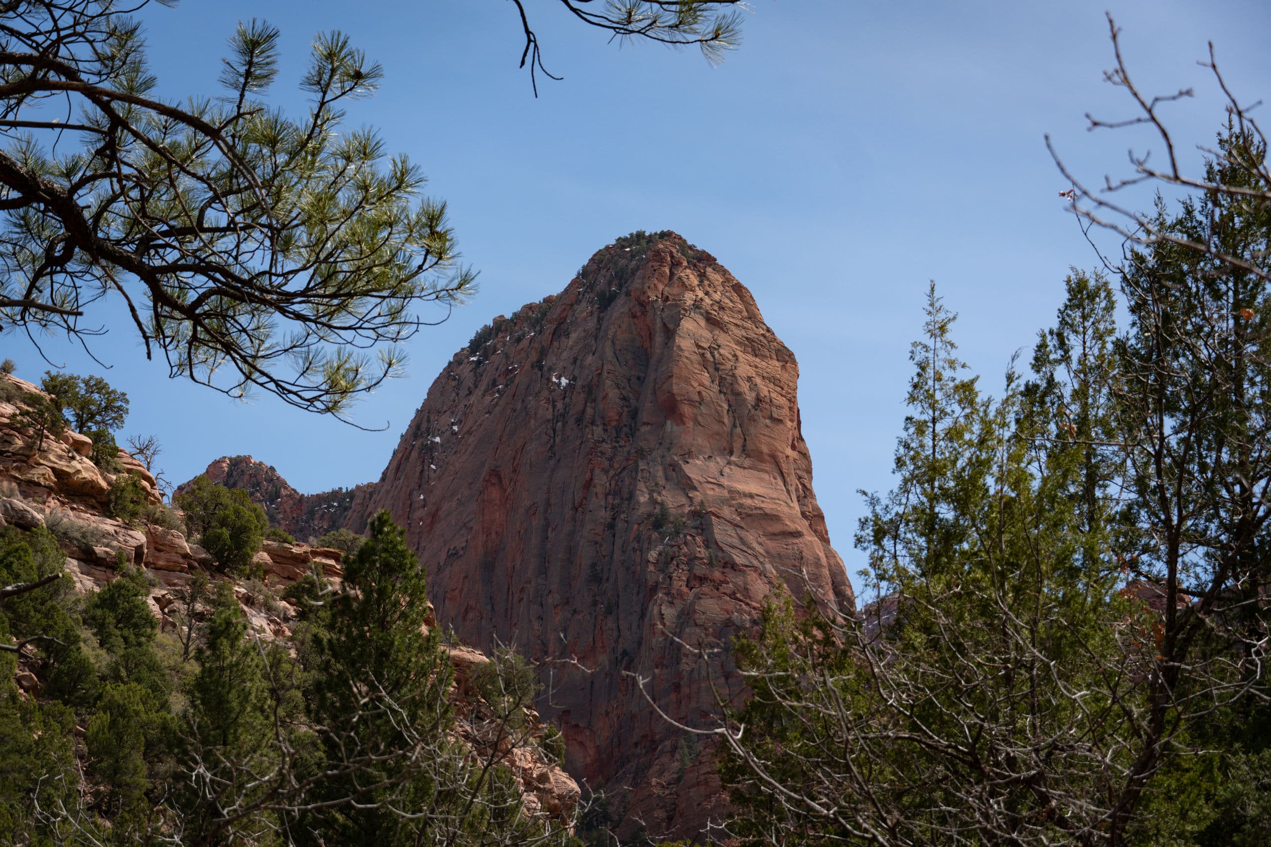 Utah — Focus