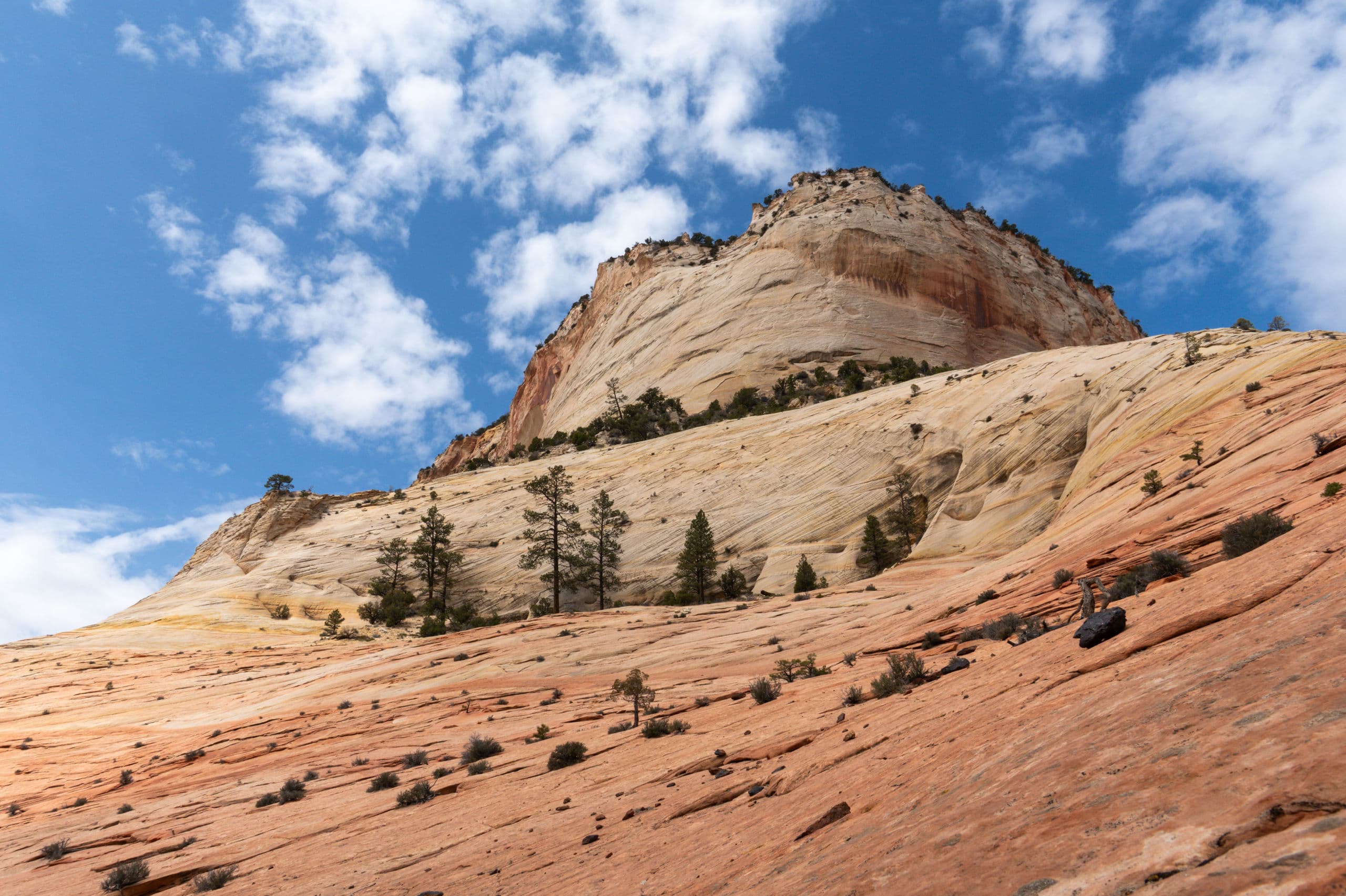 Utah — Displacement