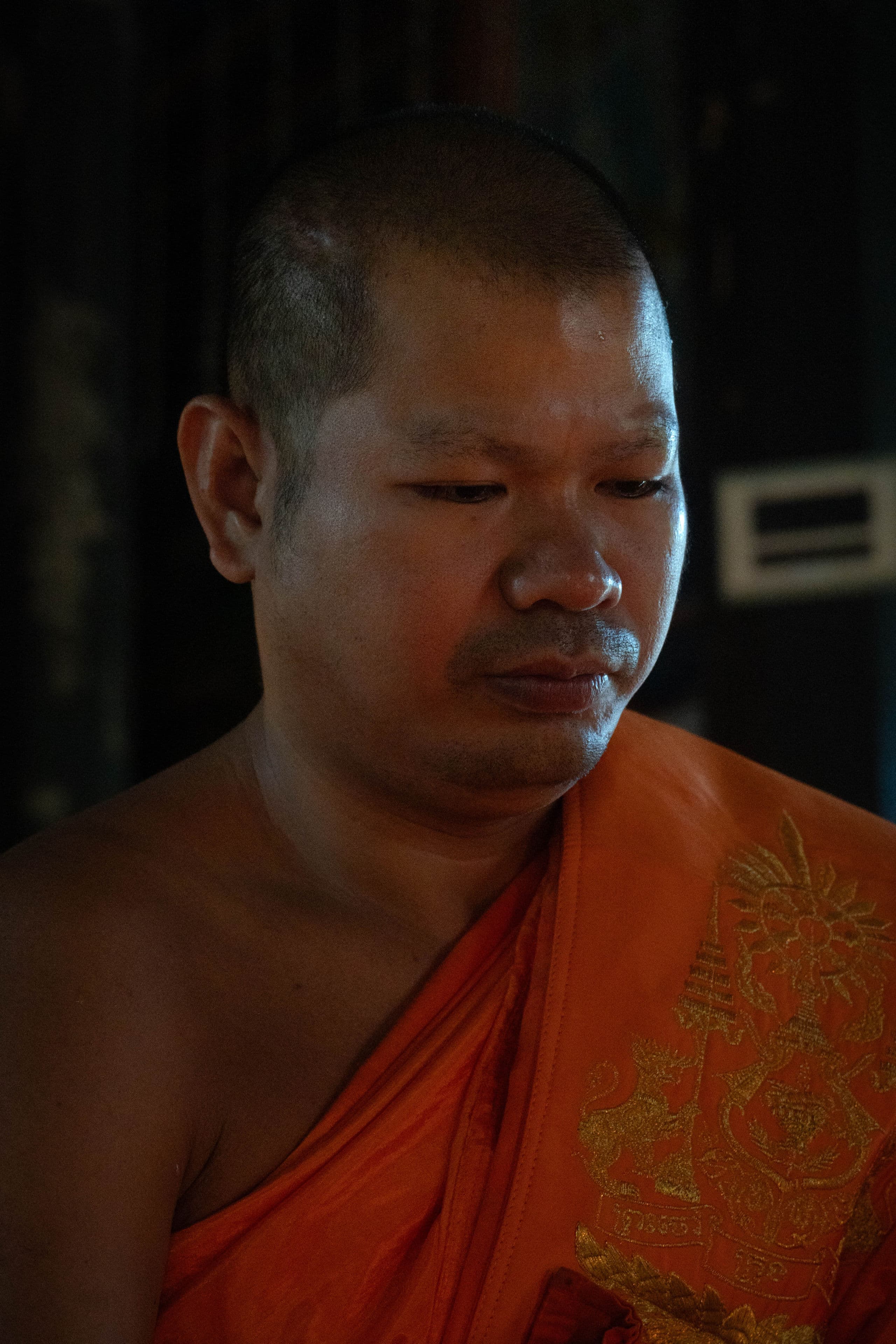 Vietnam and Cambodia — Monk