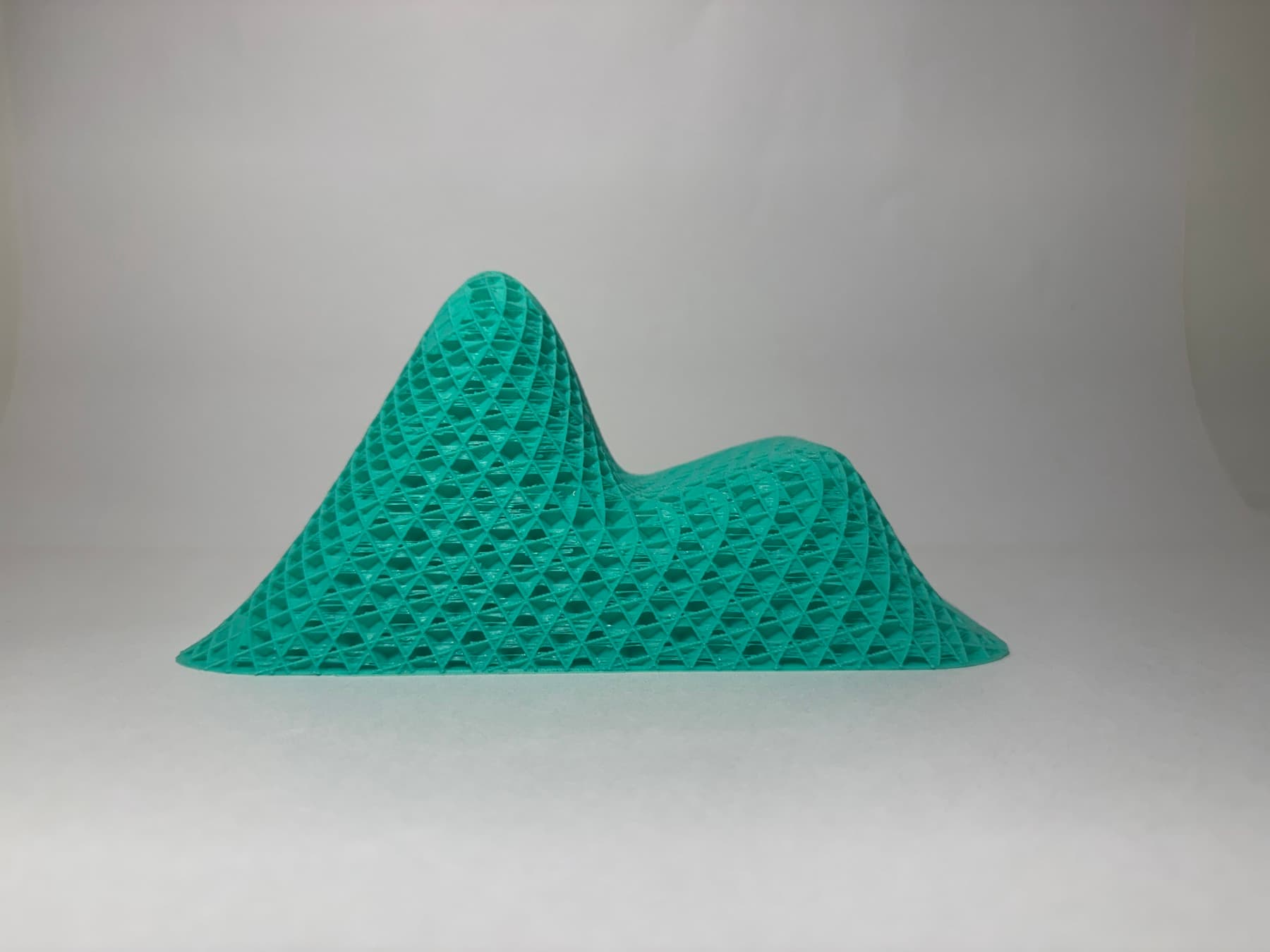 Grasshopper 3D-printed lattice, side view