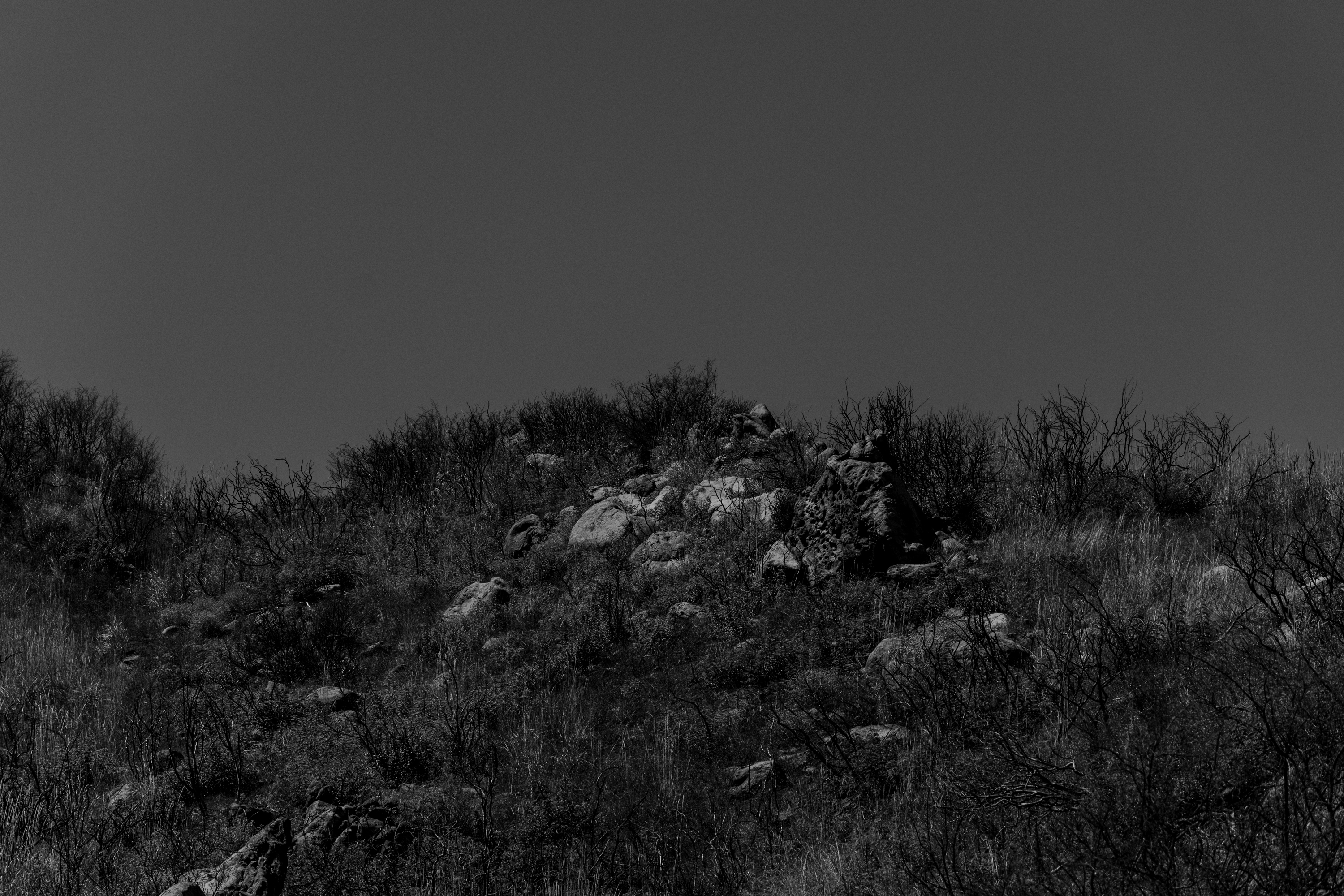 Malibu Mountains - Malibu Mountains 011