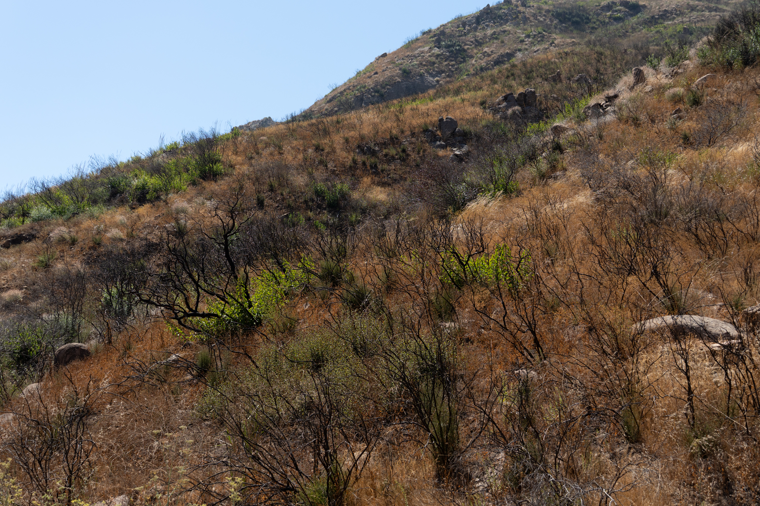 Malibu Mountains - Malibu Mountains 014